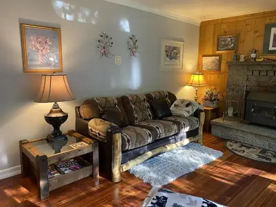 a living room with a leather couch and a fireplace at Tahoe Cottage perfect for couples and outdoor enthusiasts in South Lake Tahoe
