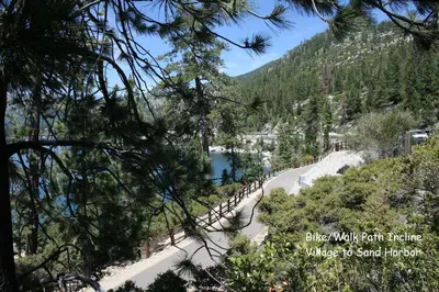 a view of a mountain road through a forest at Pinenut Place home in Incline Village