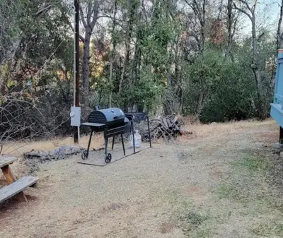 a barbecue grill sitting in a field next to a forest at Blue Mountainview in Mariposa