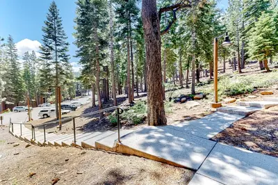 a park with a ramp in the middle of a forest at Powder Pines Retreat in Kingswood Estates