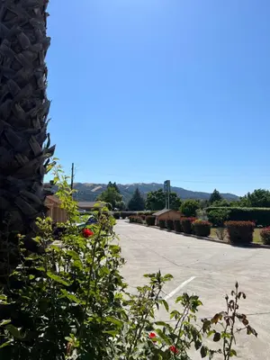 a empty parking lot with flowers in the foreground at Travel Inn Gilroy in Gilroy