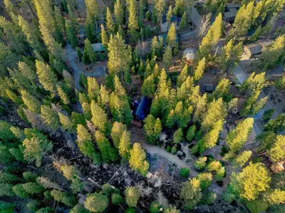 an overhead view of a forest of trees with a truck at 3BR Tahoe Cabin in the Trees with Hot Tub in Carnelian Bay