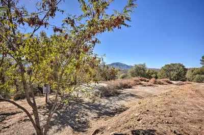 a tree on the side of a dirt road at Oakhurst Duplex about 13 Mi to Yosemite National Park! in Oakhurst