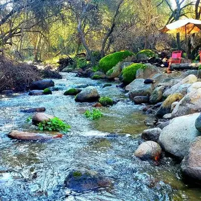 Magical River House ! 10 min to SNP park entrance