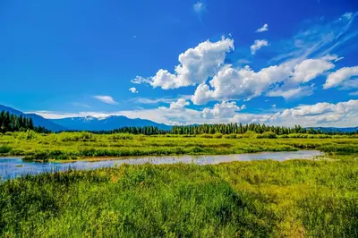 a river in a field with mountains in the background at Hounds of Aspen in South Lake Tahoe
