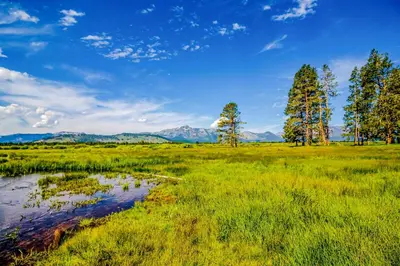 a field with a pond and trees and mountains at Hounds of Aspen in South Lake Tahoe