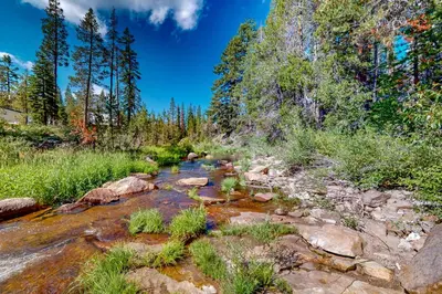 a stream in the middle of a field with trees at Sierra Secret in Soda Springs