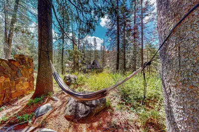 a hammock tied to a tree in a forest at Sierra Secret in Soda Springs
