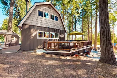 a small shed with a porch and a tree at Fernwood in Shaver Lake