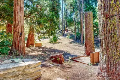 a forest with two trees and a stone wall at Tranquil Pines Estate in Shaver Lake