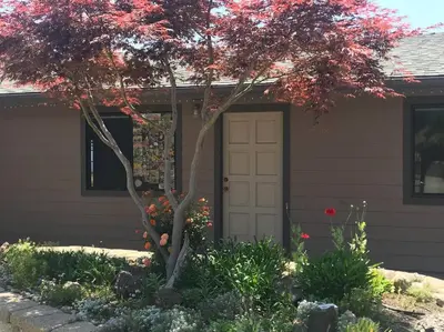a house with a tree and a garage at Crane Suite Hot Tub Bbq King Bed- Sleeps 4 in Ahwahnee