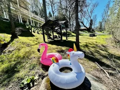 two inflatable plastic swans and a toilet in a yard at Creekside Dream Game Room Sleeps 12 bbq near town in Oakhurst