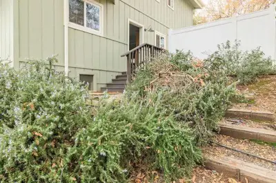 a house with a bunch of bushes in front of it at Raccoon Hideout Hot Tub BBQ Arcade Darts in Oakhurst