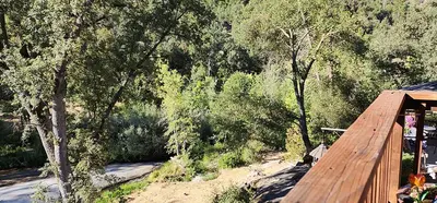 a view of a forest of trees with a wooden bridge at Yosemite Mountain Retreat in Oakhurst