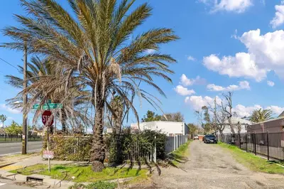 a palm tree on the side of a street at Cozy 1bdr/1br home near downtown in Sacramento