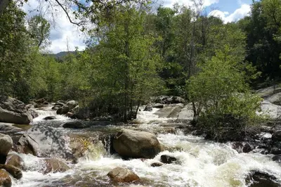 a stream of water with rocks and trees at Sequoia River House, close to SNP, 2 Decks on Amazing River on 7acres in Three Rivers