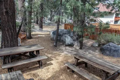 two wooden benches in a park with trees and rocks at La Residence V #T05 condo in Mammoth Lakes
