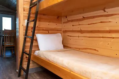 a bunk bed in a wooden cabin with a ladder at Jellystone Park Tower Park Resort in Lodi