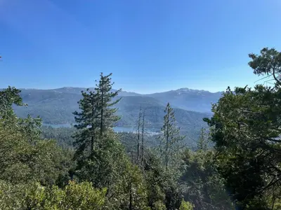 a view of a forest with mountains in the background at Stewart Chalet @ Yosemite/Bass Lake in Bass Lake