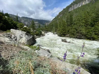 a river with rapids on the side of a mountain at Peaceful & secluded, yet close to town. in Mariposa