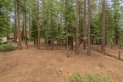 a yard with a fence in the middle of a forest at Cozy Pet-Friendly Cabin w Fenced-In Yard Close to Slopes Beach Town in Carnelian Bay