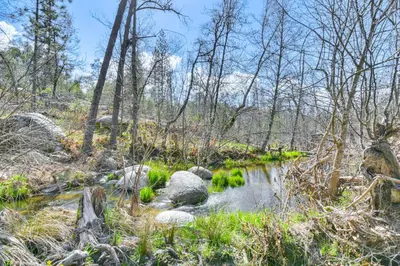 a stream in the woods with rocks and trees at Waterfront Mariposa Hideaway Hot Tub and Mtn Views! in Mariposa