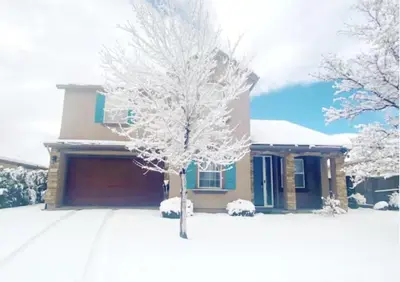 a house with a snow covered tree in front of it at Cozy hideaway 30 miles to Mt Rose Ski, Tahoe/ Reno in Reno