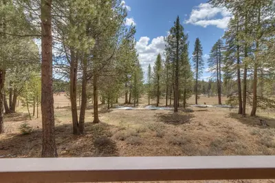 a view from a window of a forest with trees at Tranquil Retreat by Tahoe Getaways - 3BR Pet-Friendly Home w Private Hot Tub, Views & HOA Amenities in Truckee