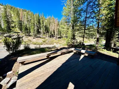 a wooden bench sitting on a deck in the woods at Snowy Paws - Pet Friendly - Alpine Meadows - Amazing views, close to slopes in Olympic Valley