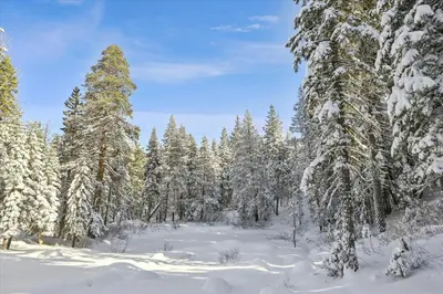 a snow covered forest with snow covered trees at Silverado Lodge at Palisades - 4BR w Private Hot Tub & Ski Shuttle in Olympic Valley