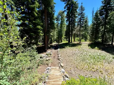 a wooden path in the middle of a forest at Ward Creek Retreat - Cozy Old Tahoe Cabin w Short Drive to Ski Resorts Pet Friendly in Tahoe City