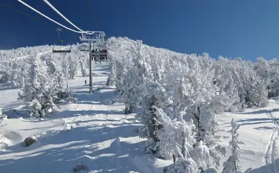 a ski lift with snow covered trees on a ski slope at 39 McCloud Incline Village in Incline Village