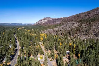 an aerial view of a forest of trees at Spacious Riverfront in South Lake Tahoe