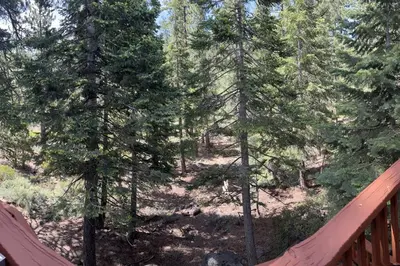 a view of a forest from a deck with trees at Luna Cabin - 5BR Hot Tub A/C Game Room EV Charger in Tahoe Vista