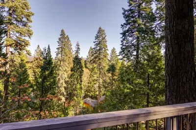 a view of the forest from the deck of a cabin at 3 Mi to Big Trees State Park Cabin with Deck in Arnold