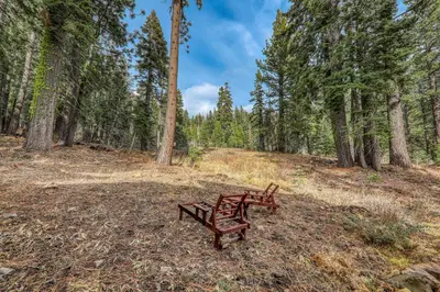 two benches sitting in the middle of a forest at Sherwood Chalet - Quiet 3 BR in Ward Canyon, Private Hot Tub, Near Sherwood Chairlift in Tahoe City