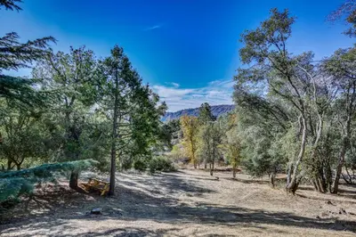 a dirt road through a forest with trees at Mountain Home Near Yosemite with Well-Being Retreat! in Ahwahnee