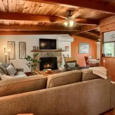 Orange Door Electric Fireplace bbq