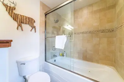 a bathroom with a shower and a toilet and a tub at Luxury Townhome, Walk to the Village, Wifi, Private Spa & Garage in Mammoth Lakes