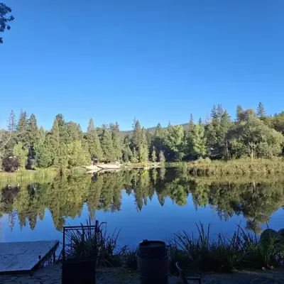 1BR Dog-Friendly Lakefront Cabin with Canoes