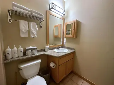 a bathroom with a toilet and a sink and a mirror at Ski-in/Ski-out with views at Sunstone in Mammoth Lakes