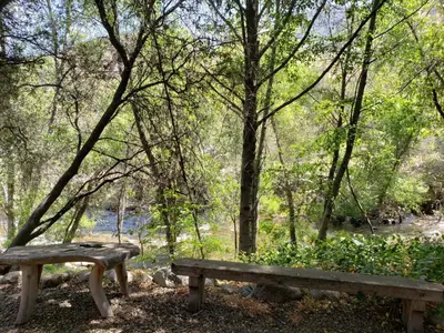 a wooden bench in a park with trees and a river at RiverFront Retreat- Spa/Hot tub, Game Room, Limited Gym in Three Rivers