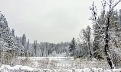 Gallery image of Evergreen Lodge in Arnold