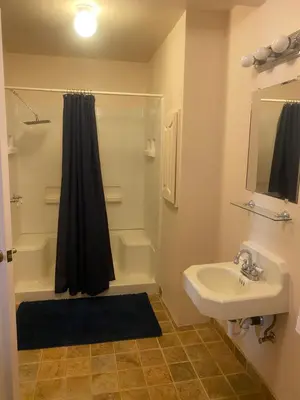 a bathroom with a shower and a sink at Seven Circles Lodge&Retreat in Badger