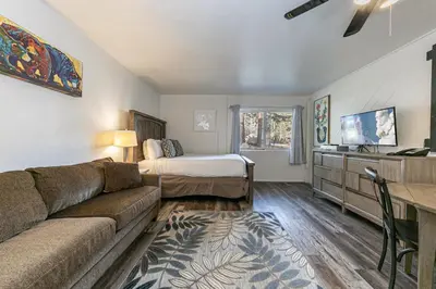 a living room with a couch and a bed at Delightful Studio w/Kitchenette #111 at Donner Lake Village in Truckee