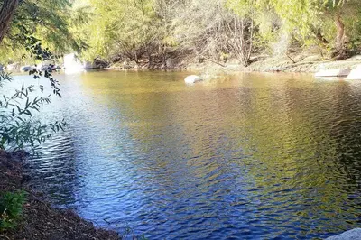 a body of water with trees on the side of it at Retro Casita on the River! only 1 min to SNP gate! Riverfront with swimming in Three Rivers