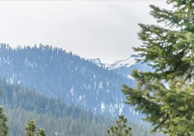 a view of a mountain with trees in the background at Northstar Resort Condo for 8 Free Shuttle in Truckee