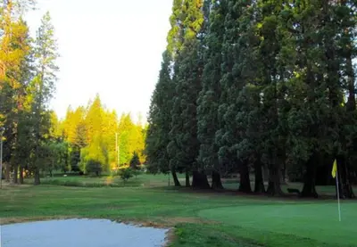 a group of trees on a golf course with a pond at Twain Harte Lake, pool/hot tub, by skiing/Yosemite in Twain Harte