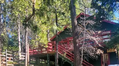 a red cabin in the woods next to a pole at Read Haven 3 Bedroom, 1.5 Bath in Twain Harte