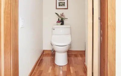 a bathroom with a toilet with a plant on top of it at Palisades Tahoe Lodge Rentals Premium One Bedroom #321 in Olympic Valley